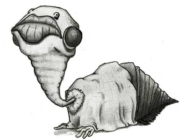 Snail thing